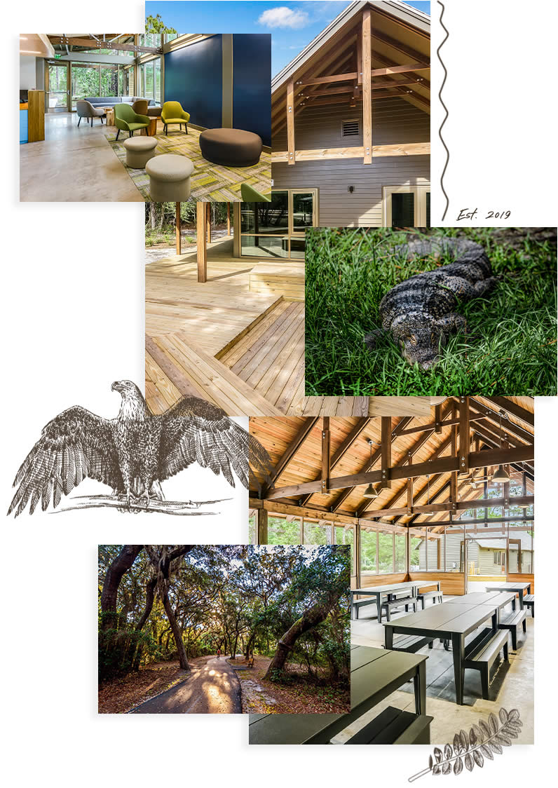 collage of nature images
