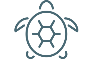 an icon of a sea turtle in blue