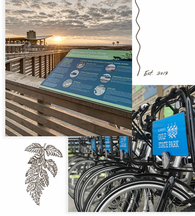 collage of Interpretive Center images