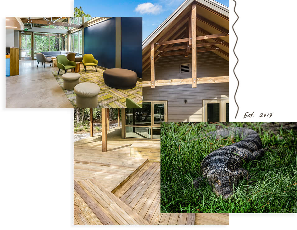 collage of Learning Campus images