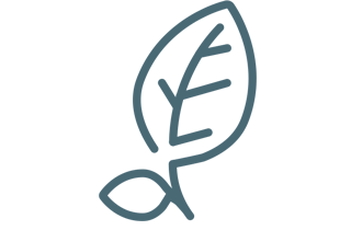 leaf icon in blue