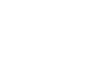 Place icon