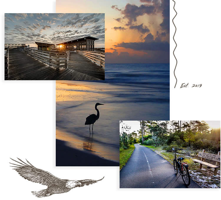 collage of nature images