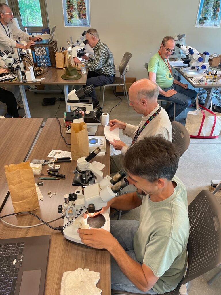 People examining specimens under microscopes in a workshop setting