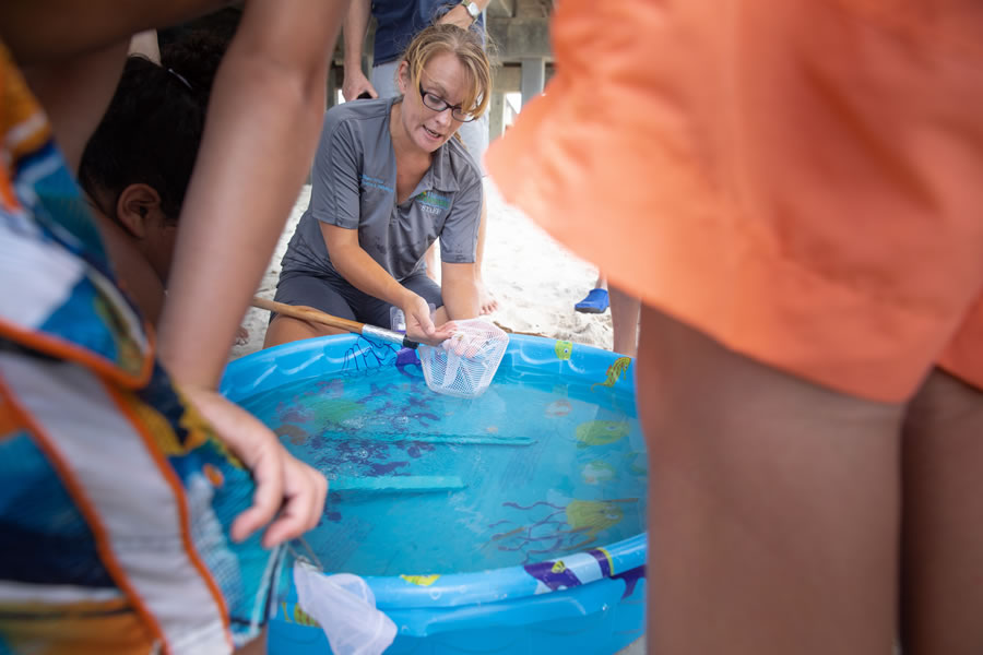 Teacher using a net to show marine animals to children in an outdoor pool